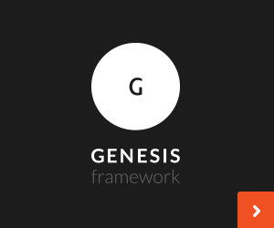 Genesis Theme Framework for WordPress