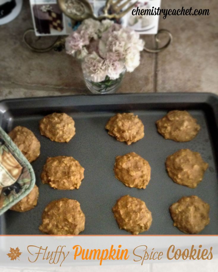 Fluffly-pumpkin-spice-cookies-perfect-anytime-of-day.-Healthy-full-of-wonderful-spice-with-a-hint-of-pumpkin.-chemistrycachet.com_