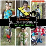 6 Homemade Halloween Costumes you can make!