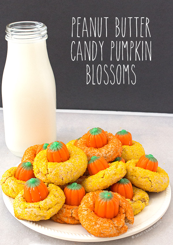 Peanut Butter Candy Pumpkin Blossoms – your favorite peanut butter cookie with the Halloween twist of yellow and orange sanding sugar and a candy pumpkin.