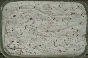 Christmas peppermint ice cream cake WP