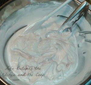 soften ice cream n whipped topping WM